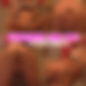 Finger im Po ab nach Mexico