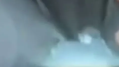 Mal behaart meine geile fotze die beiden geilen Fick Löcher werden geil gestopft