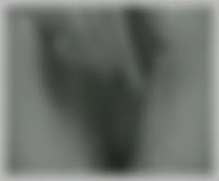 xxxSeeya 13