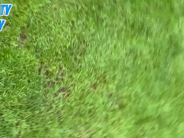 Zwei geile Piss-Clips, Beine breit und los gepisst