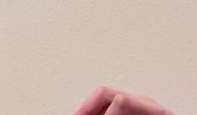 Erst Dildo Lutschen dann dann Anal benutzt