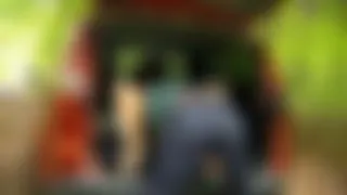 Skandalsex im Wald