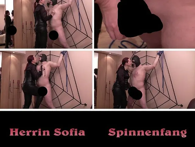 Spinnenfang