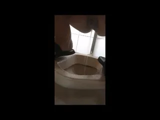PISSCLIPSAMMLUNG für Fans des goldenen Sekts!