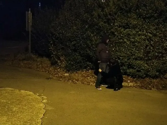 Parkplatz-Sperma-Extraktion