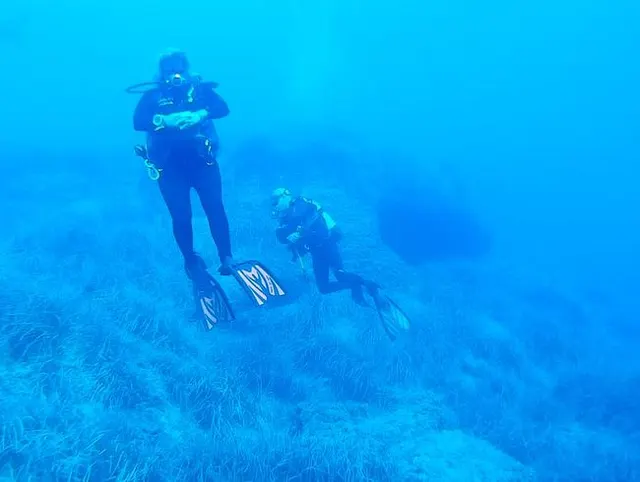 #Dive N°: 850 (3)
