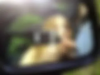 Blasen im Auto