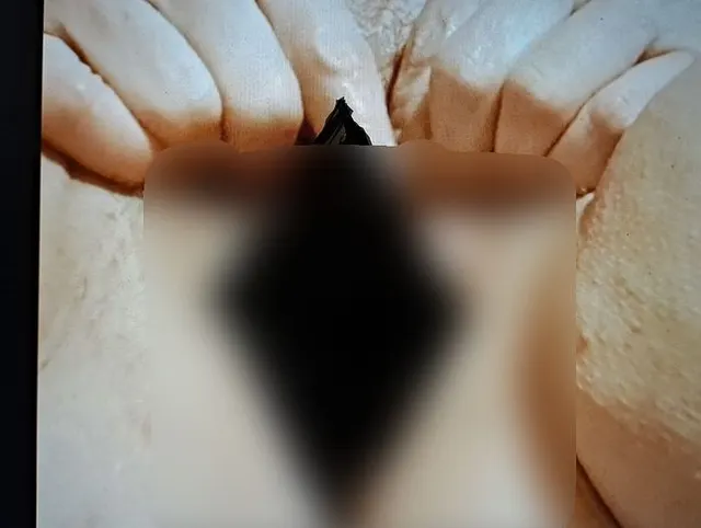 Mein neuer schwarzer Dildo