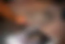 wife blowjob