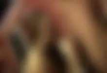 HORNY SLYT