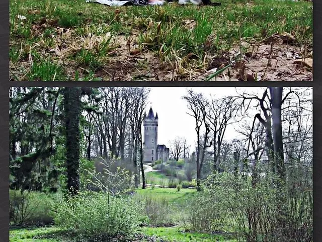 Frühlingsgefühle im Schloßpark Teil 2