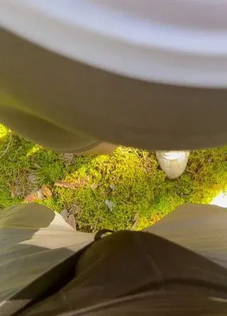 Richtig geiler Outdoor Deeptroaht Blowjob- ich nehm ihn richtig tief